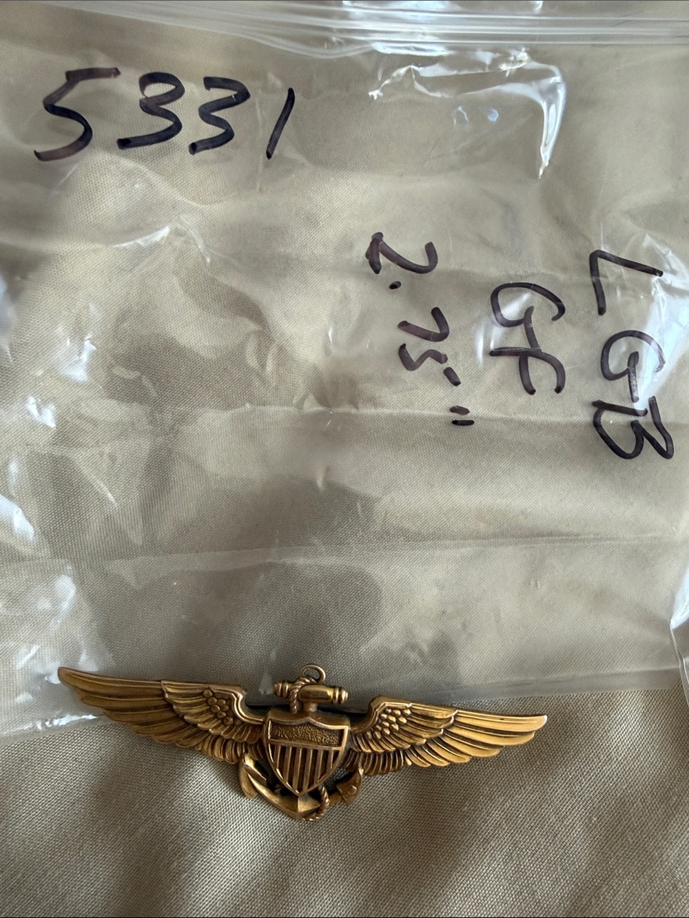 Aviator Wing Badge Pin